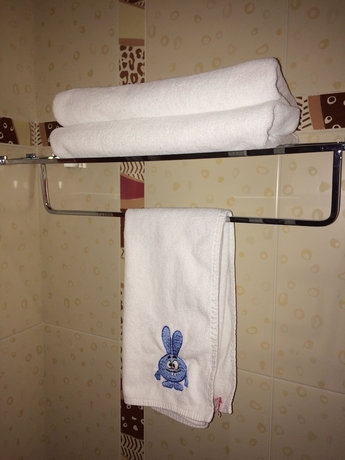 Imagen de la habitación del Hotel Nikol Business. Foto 8