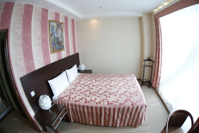 Imagen de la habitación del Hotel Nikol Business. Foto 11