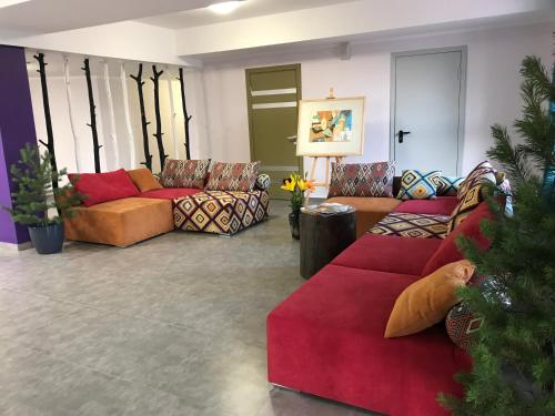 Imagen general del Hotel Nikola. Foto 3