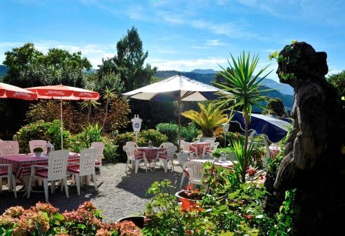 Imagen general del Hotel Nikolasch. Foto 5