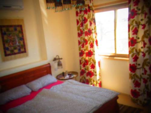 Imagen de la habitación del Hotel Nile Compound. Foto 2