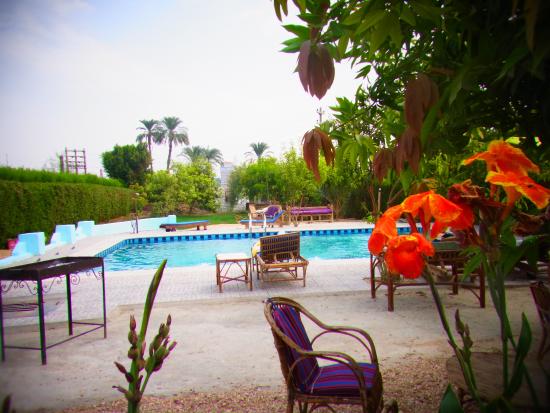 Imagen de los interiores del Hotel Nile Compound. Foto 4