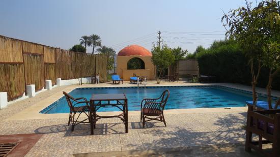 Imagen de la piscina del Hotel Nile Compound. Foto 7