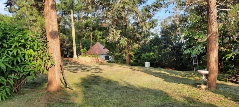 Imagen de los exteriores del Hotel Nile Park - Campsite. Foto 14