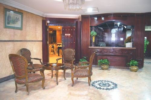 Imagen general del Hotel Nile Zamalek. Foto 3