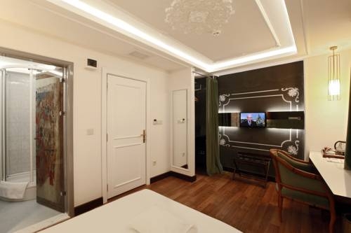 Imagen general del Hotel Niles Istanbul. Foto 15