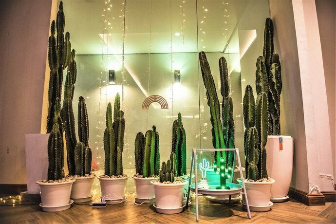 Imagen general del Hotel Nimit Boutique Collection. Foto 10