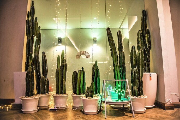Imagen de los interiores del Hotel Nimit Boutique Collection. Foto 39