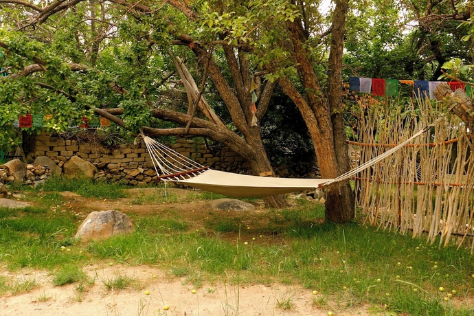 Imagen de los interiores del Hotel Nimmu House Ladakh. Foto 15