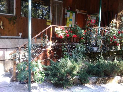 Imagen general del Hotel Nimpha Bungalows. Foto 3