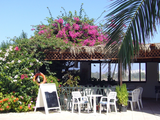 Imagen de la piscina del Hotel Nina Beach. Foto 11