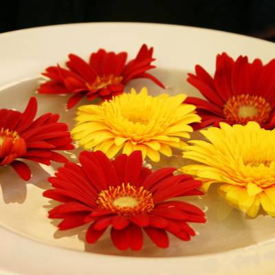 Imagen de la habitación del Hotel Nine, Monza. Foto 4