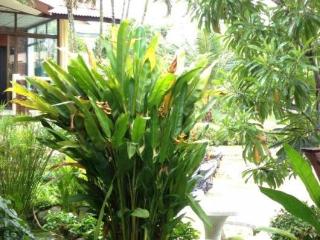 Imagen general del Hotel Niramon Sunview Resort. Foto 18