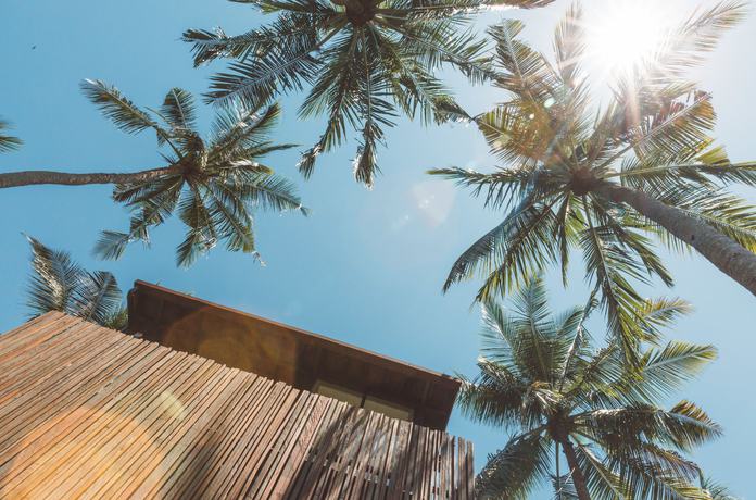 Imagen de la habitación del Hotel Nirjhara. Foto 5