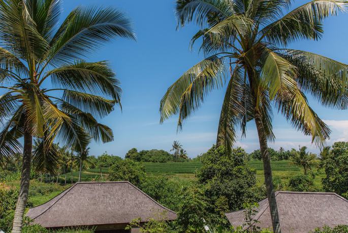 Imagen de la habitación del Hotel Nirjhara. Foto 17