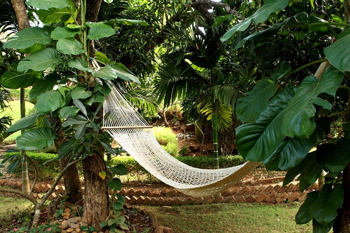 Imagen de los exteriores del Hotel Nirvana Hermitage. Foto 8