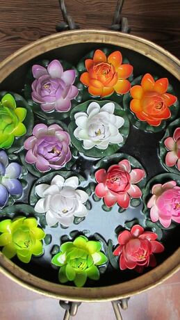 Imagen general del Hotel Nirvana - Hostel. Foto 16