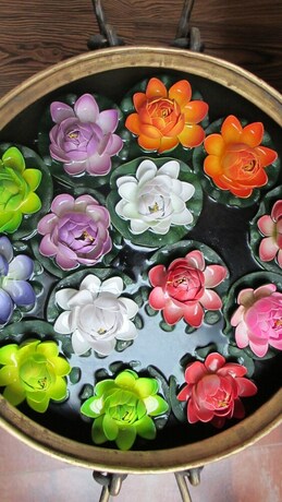 Imagen de los interiores del Hotel Nirvana - Hostel. Foto 35