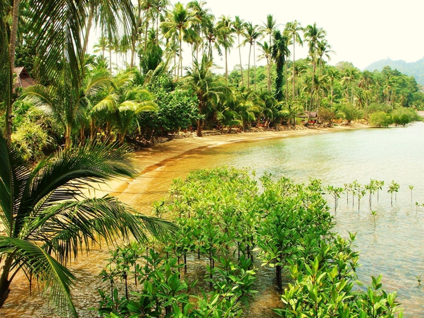 Imagen de los exteriores del Hotel Nirvana Resort Koh Chang. Foto 16