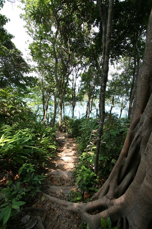 Imagen de los exteriores del Hotel Nirvana Resort Koh Chang. Foto 20