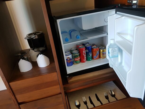 Imagen general del Hotel Nirvana and Resort. Foto 8