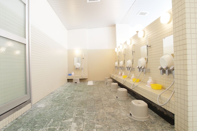 Imagen de la habitación del Hotel Nishi In Fujisan. Foto 18