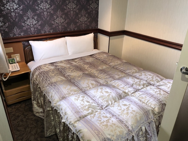 Imagen de la habitación del Hotel Nishikawaguchi Station Stay Lounge. Foto 6