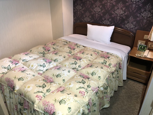 Imagen de la habitación del Hotel Nishikawaguchi Station Stay Lounge. Foto 13