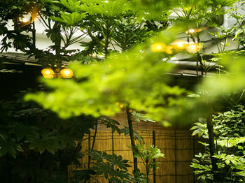 Imagen de los exteriores del Hotel Nishi-no-miyabi Tokiwa. Foto 4