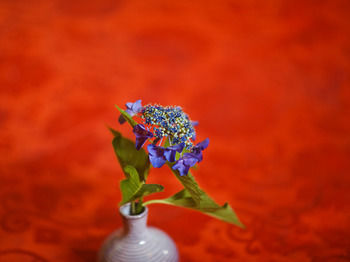 Imagen de los exteriores del Hotel Nishi-no-miyabi Tokiwa. Foto 6