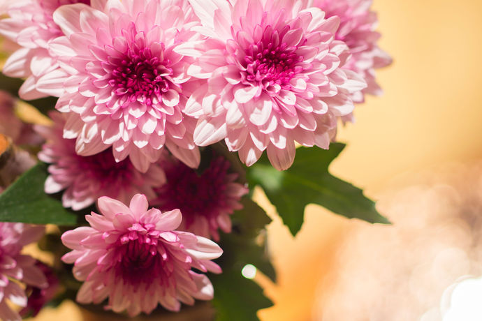 Imagen de los interiores del Hotel Nishi-no-miyabi Tokiwa. Foto 14