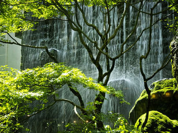 Imagen de los exteriores del Hotel Nishi-no-miyabi Tokiwa. Foto 7