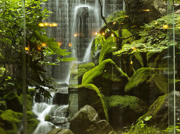 Imagen de los exteriores del Hotel Nishi-no-miyabi Tokiwa. Foto 8