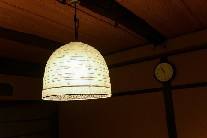 Imagen general del Hotel Nishioji Tanuki. Foto 3
