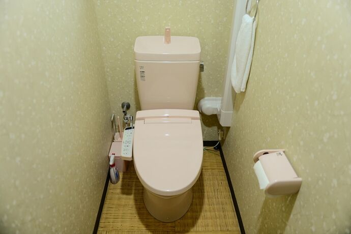 Imagen general del Hotel Nishioji Tanuki. Foto 18