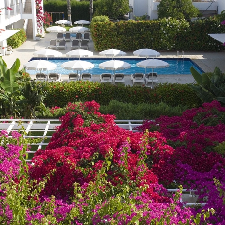 Imagen de la piscina del Hotel Nissi Park. Foto 14