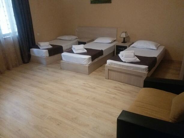 Imagen general del Hotel Nitsa, Tbilisi. Foto 9
