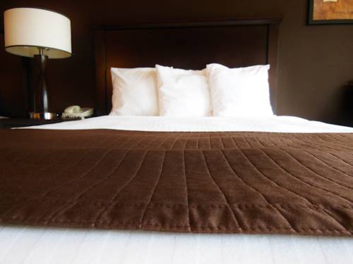 Imagen de la habitación del Hotel Niwas Inn. Foto 10