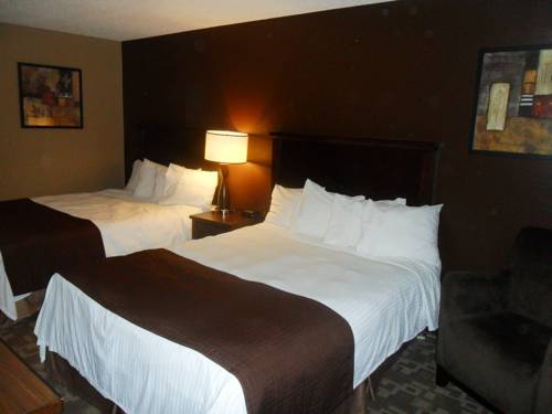 Imagen de la habitación del Hotel Niwas Inn. Foto 15