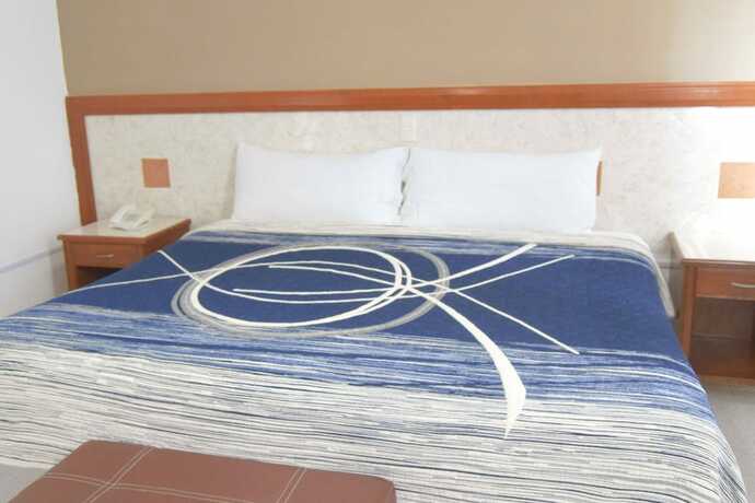 Imagen general del Hotel Niza Palace. Foto 8