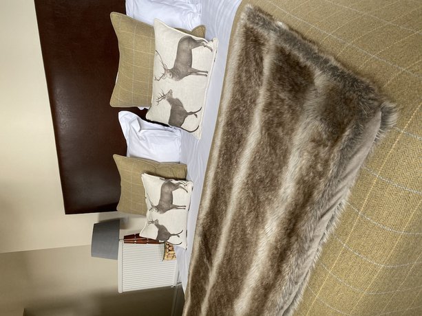 Imagen de la habitación del Hotel No.12 and Bistro. Foto 5