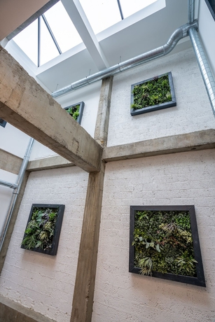 Imagen de los interiores del Hotel No.9. Foto 13
