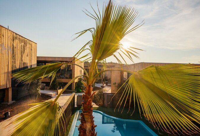 Imagen general del Hotel Noa Glamping Resort. Foto 6