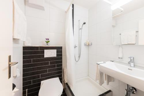 Imagen general del Hotel Noah, Rapperswil-Jona. Foto 1