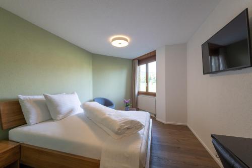 Imagen general del Hotel Noah, Rapperswil-Jona. Foto 3