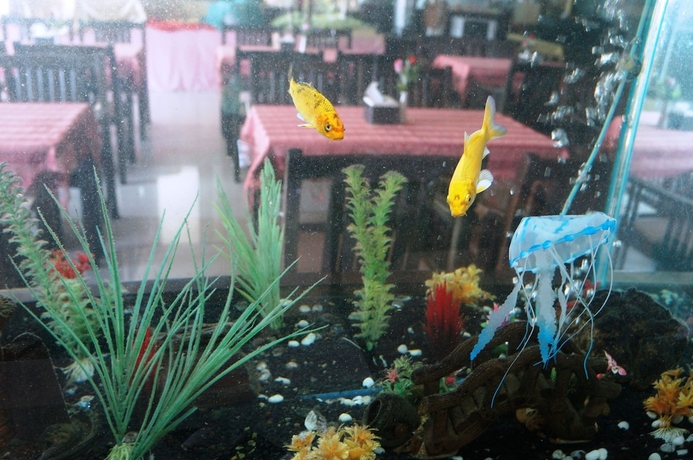 Imagen de los interiores del Hotel Noble Place Chiangmai. Foto 19