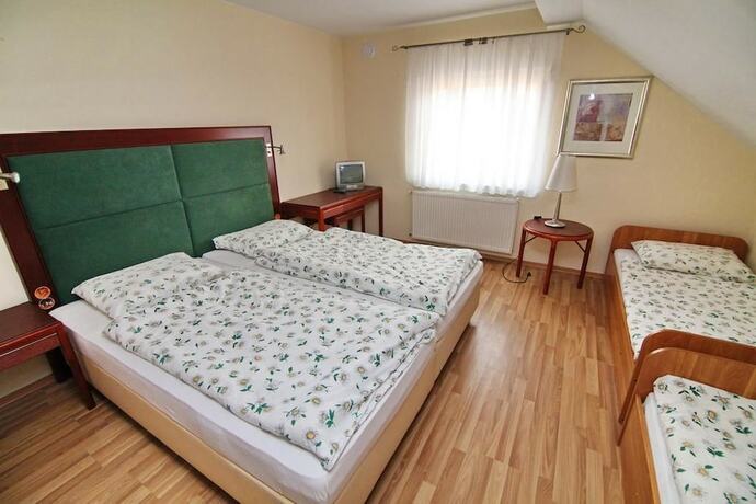 Imagen de la habitación del Hotel Noclegi Europa. Foto 16