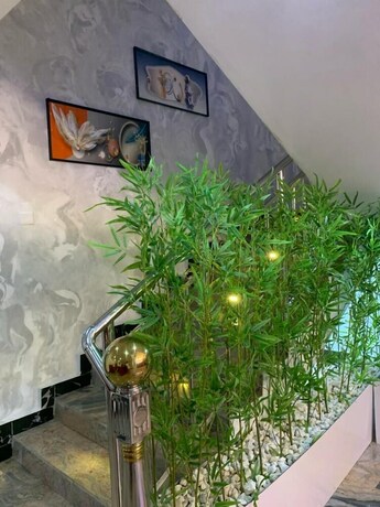 Imagen general del Hotel Nocy Castle. Foto 12