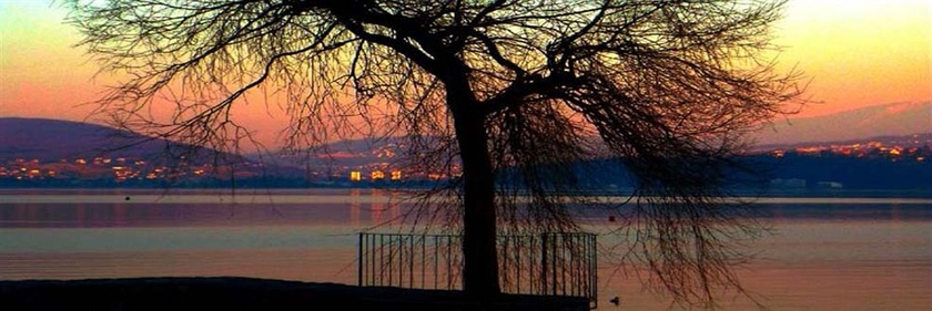 Imagen de los exteriores del Hotel Noemys Viviers Du Lac. Foto 6