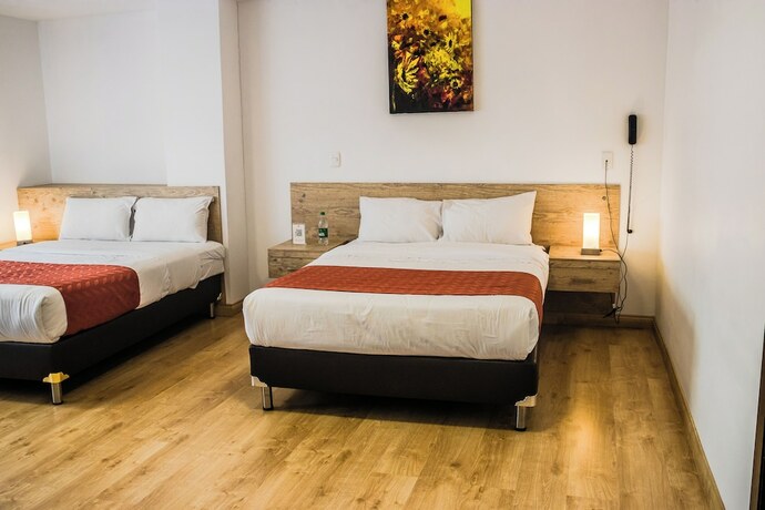 Imagen general del Hotel Nogal Suite. Foto 6